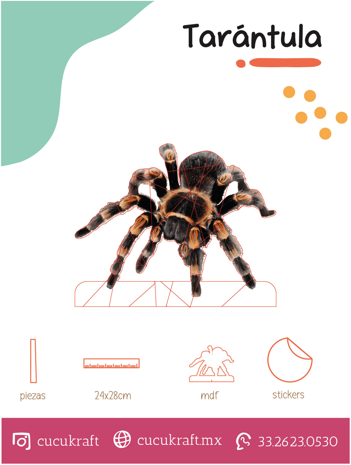 Tarántula