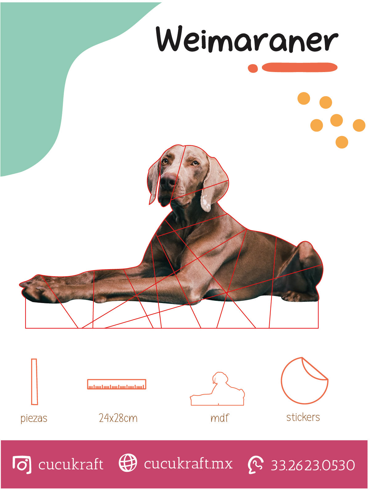 Weimaraner