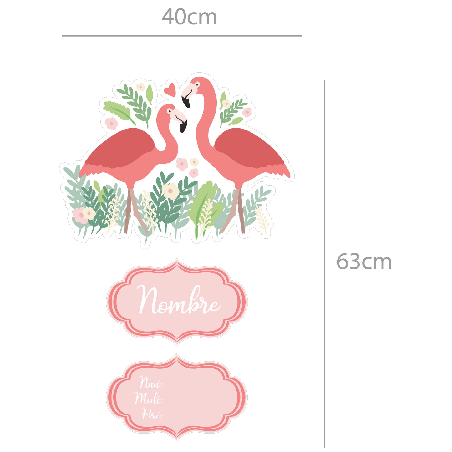 Flamingos