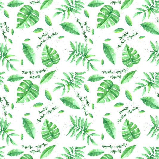 Rainforest  256