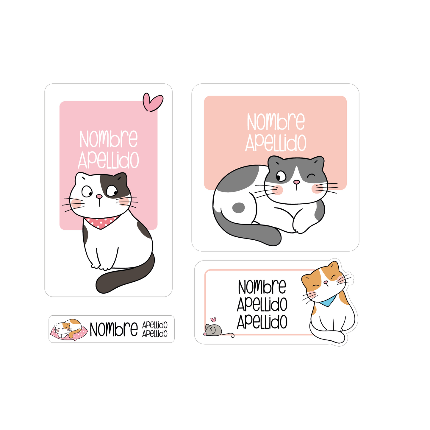 Gatito curioso
