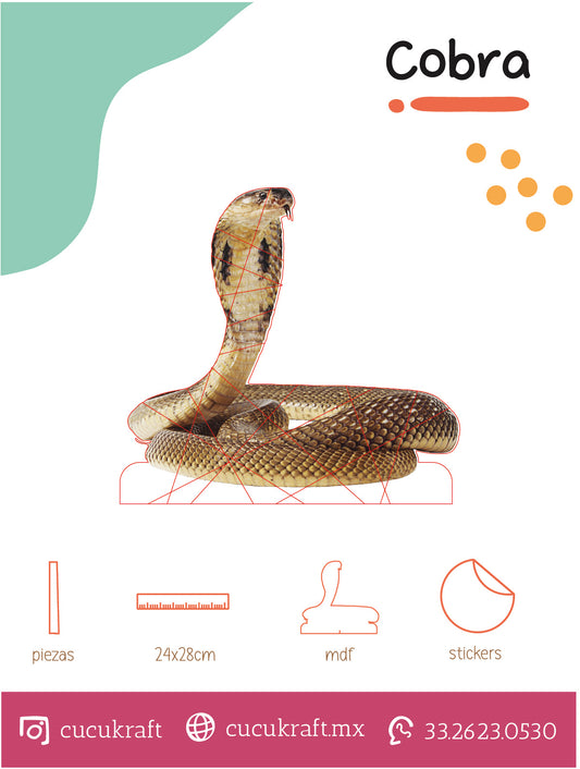 Cobra