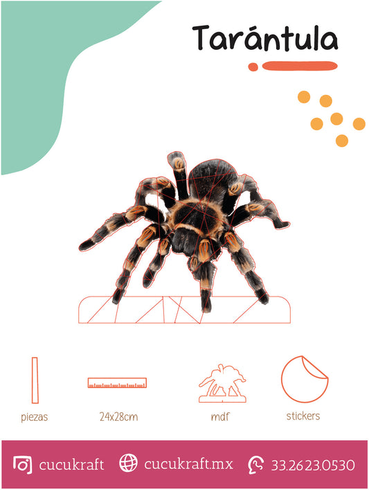 Tarántula