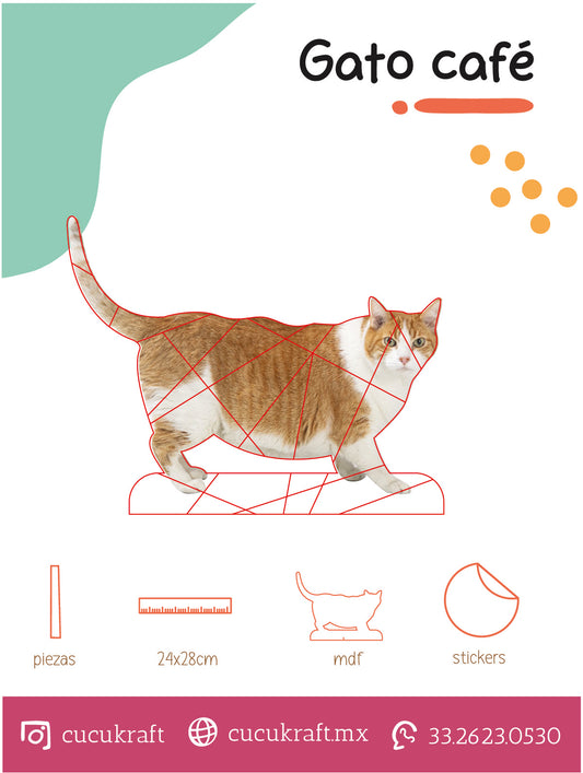 Gato café