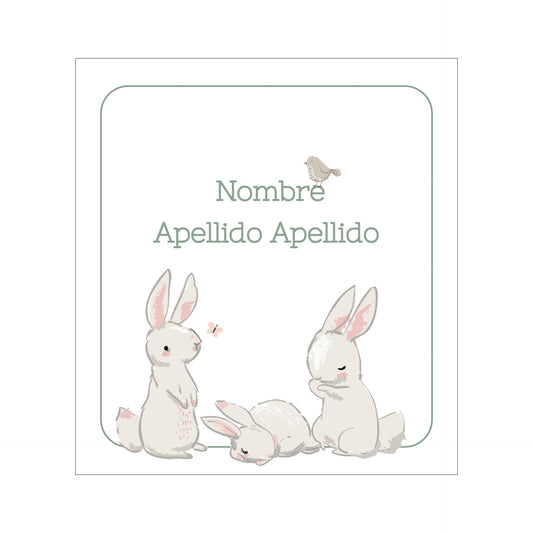 Conejitos hermanos