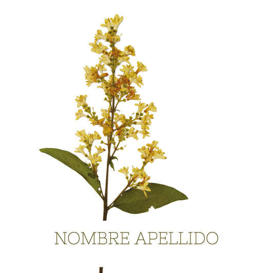 Flores vintage