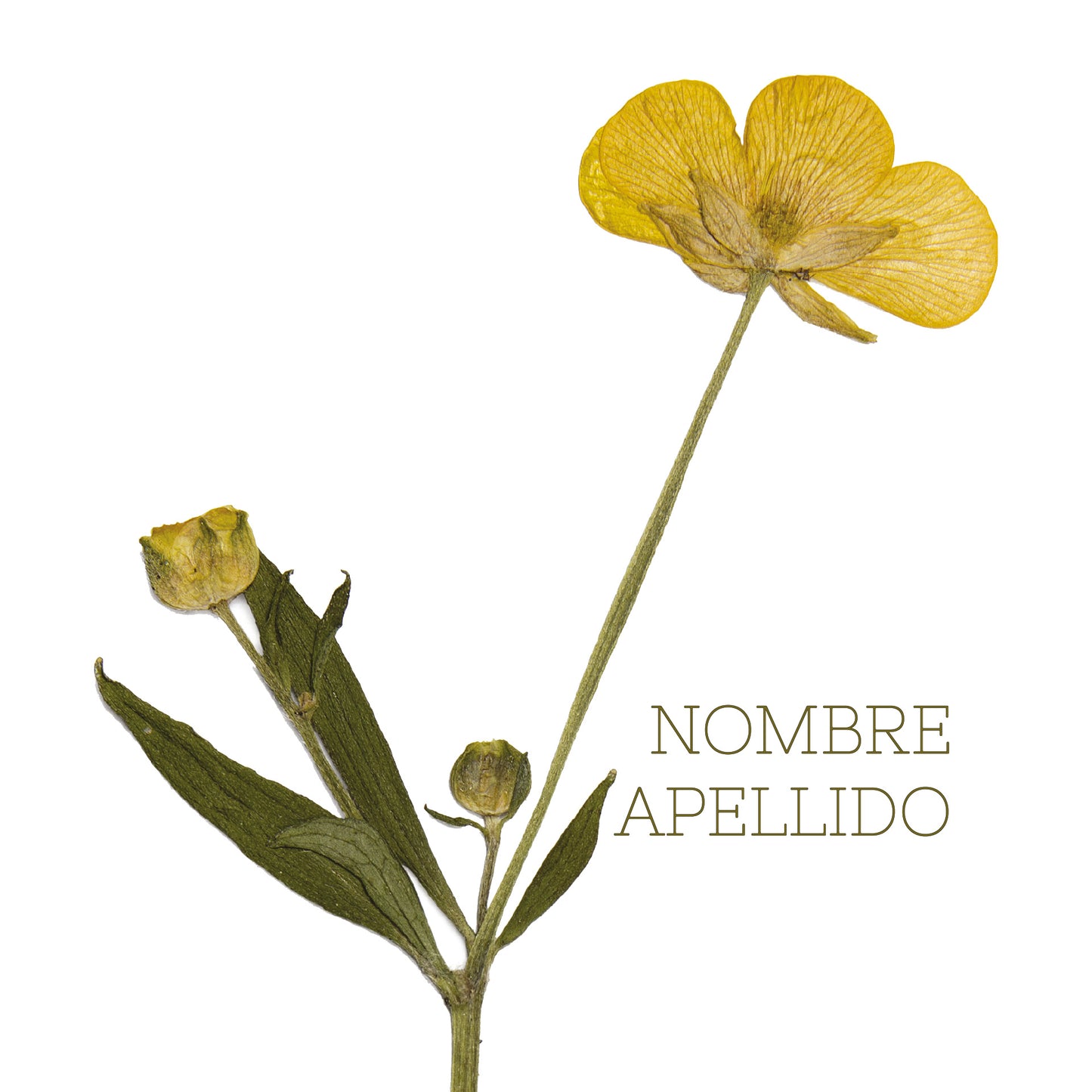 Flores vintage