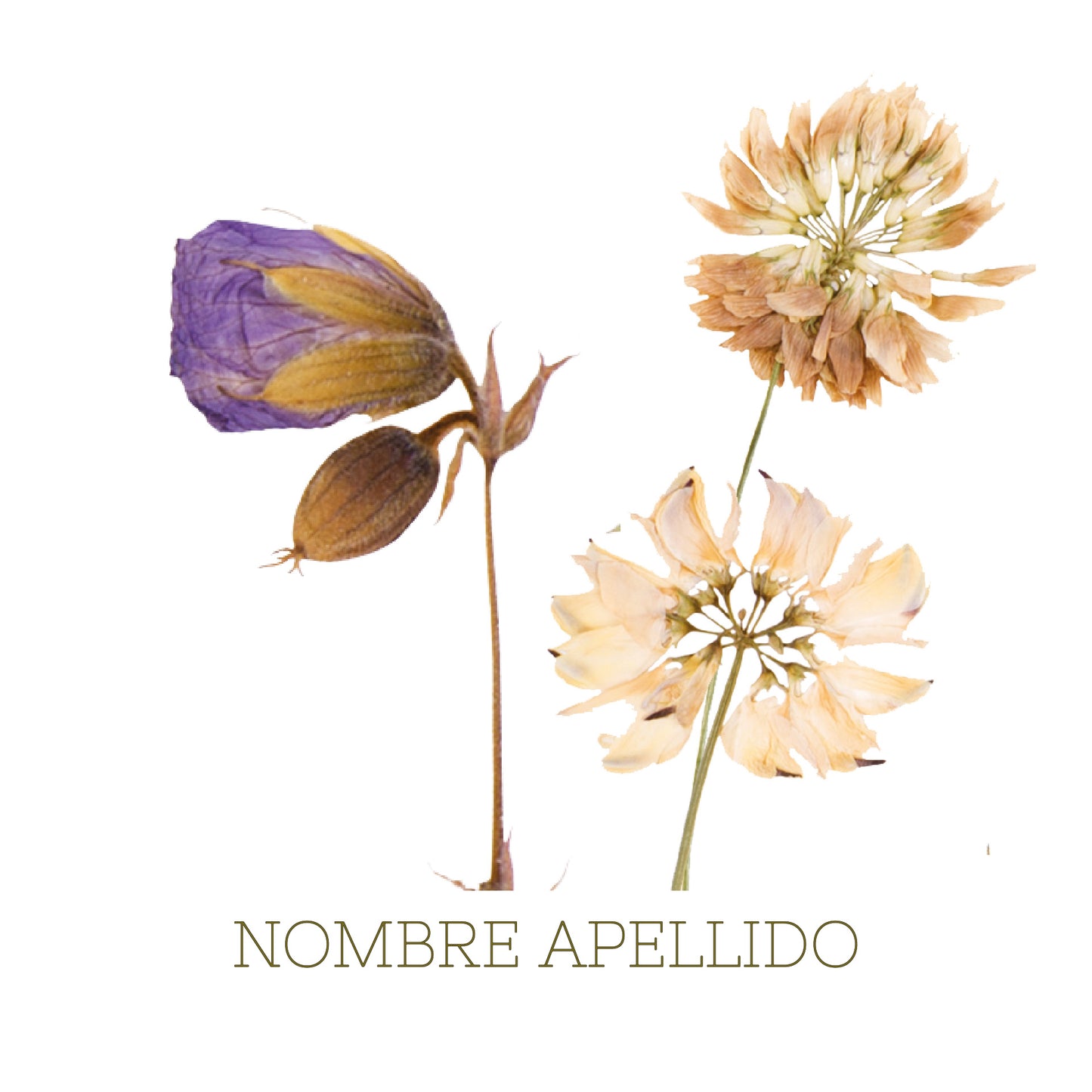 Flores vintage