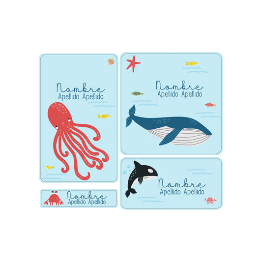 Animales Marinos